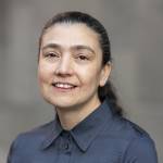 Professor Parisa Gazerani smiling subtly at the camera.
